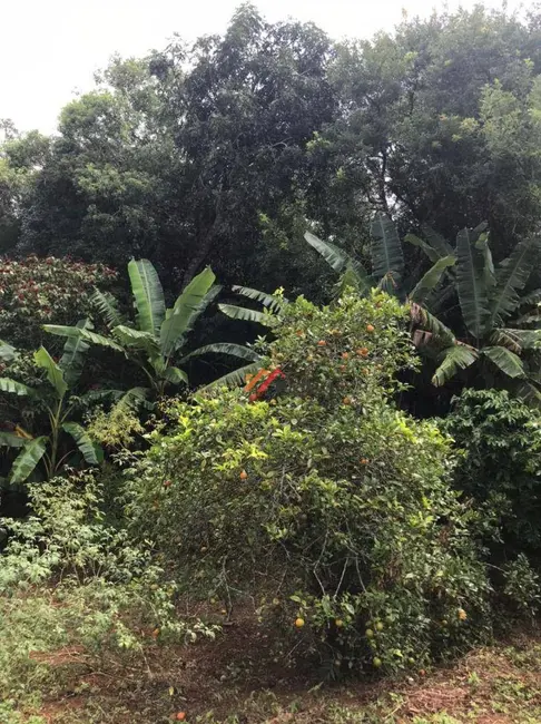 Foto 2 de Terreno / Lote à venda, 1000m2 em Ibiuna - SP