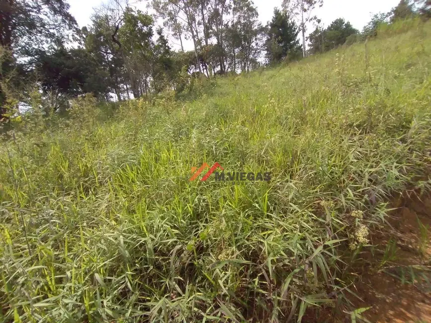 Foto 2 de Terreno / Lote à venda, 3000m2 em Ibiuna - SP
