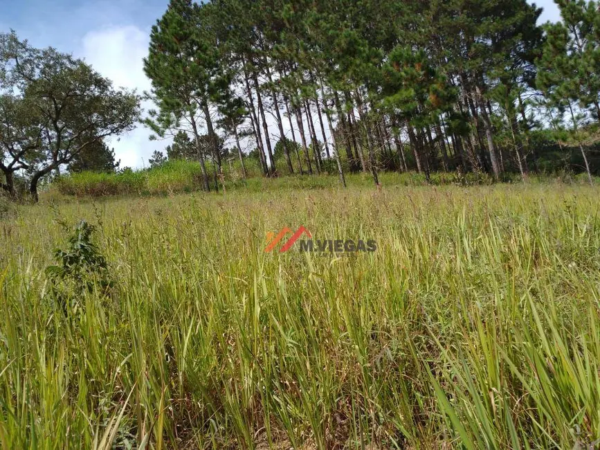 Foto 1 de Terreno / Lote à venda, 3000m2 em Ibiuna - SP