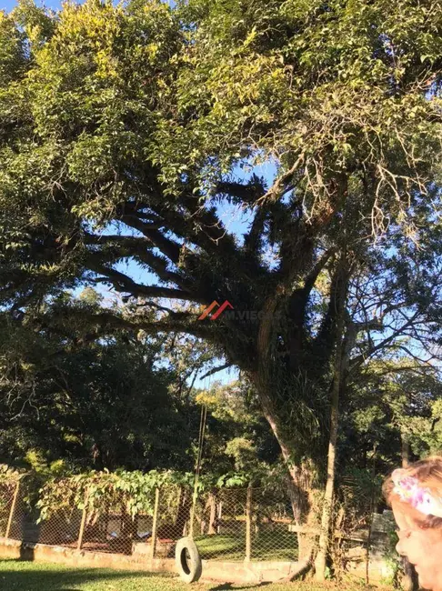 Sítio / Rancho com 4 quartos à venda, 10000m2 em Ibiuna - SP - imagem 6 Foto 6 de Sítio / Rancho com 4 quartos à venda, 10000m2 em Ibiuna - SP