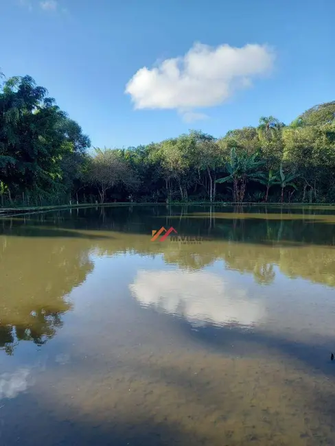 Sítio / Rancho com 4 quartos à venda, 10000m2 em Ibiuna - SP - imagem 4 Foto 4 de Sítio / Rancho com 4 quartos à venda, 10000m2 em Ibiuna - SP
