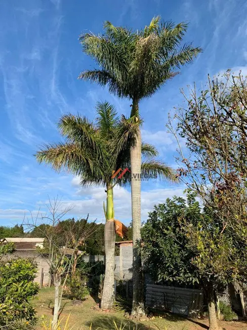 Chácara com 4 quartos à venda, 2000m2 em Ibiuna - SP - imagem 8 Foto 8 de Chácara com 4 quartos à venda, 2000m2 em Ibiuna - SP