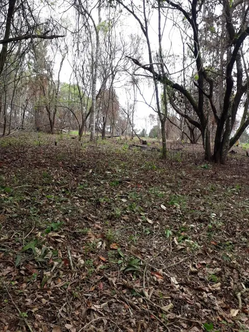 Terreno / Lote à venda, 1000m2 em Ibiuna - SP - imagem 5 Foto 5 de Terreno / Lote à venda, 1000m2 em Ibiuna - SP