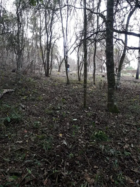 Terreno / Lote à venda, 1000m2 em Ibiuna - SP - imagem 4 Foto 4 de Terreno / Lote à venda, 1000m2 em Ibiuna - SP