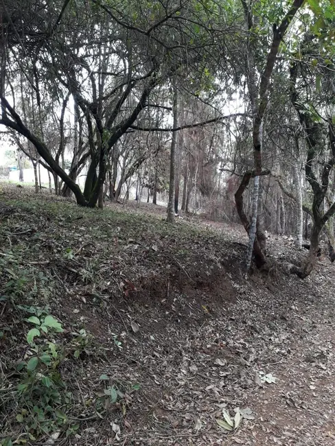 Terreno / Lote à venda, 1000m2 em Ibiuna - SP - imagem 8 Foto 8 de Terreno / Lote à venda, 1000m2 em Ibiuna - SP