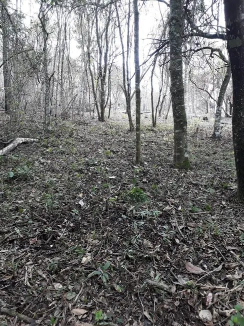 Terreno / Lote à venda, 1000m2 em Ibiuna - SP - imagem 9 Foto 9 de Terreno / Lote à venda, 1000m2 em Ibiuna - SP