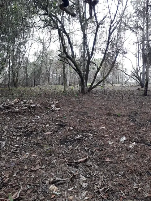 Terreno / Lote à venda, 1000m2 em Ibiuna - SP - imagem 9 Foto 9 de Terreno / Lote à venda, 1000m2 em Ibiuna - SP