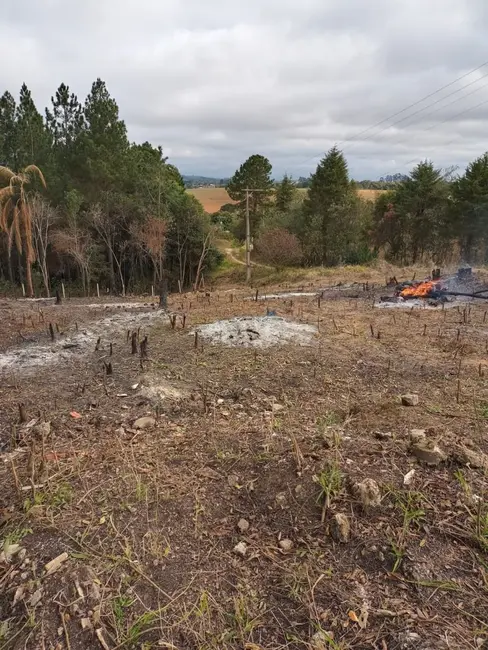 Foto 2 de Terreno / Lote à venda, 1001m2 em Ibiuna - SP