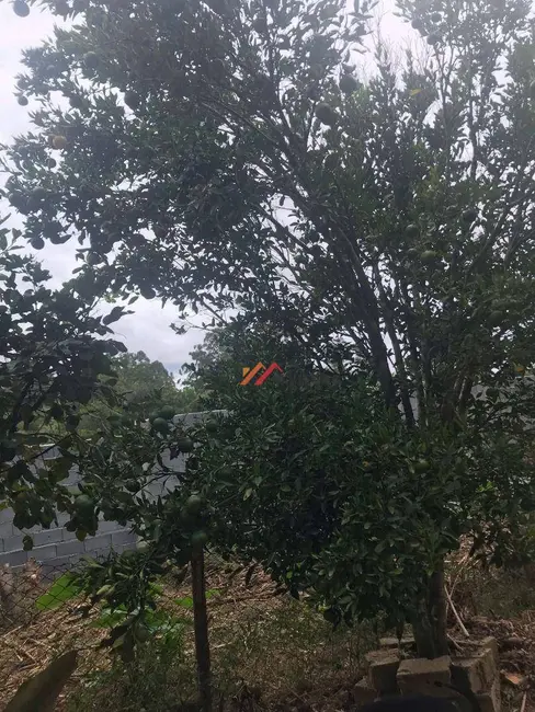 Foto 7 de Chácara com 4 quartos à venda, 1000m2 em Ibiuna - SP