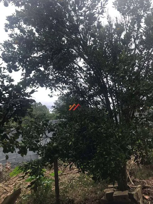 Foto 8 de Chácara com 4 quartos à venda, 1000m2 em Ibiuna - SP