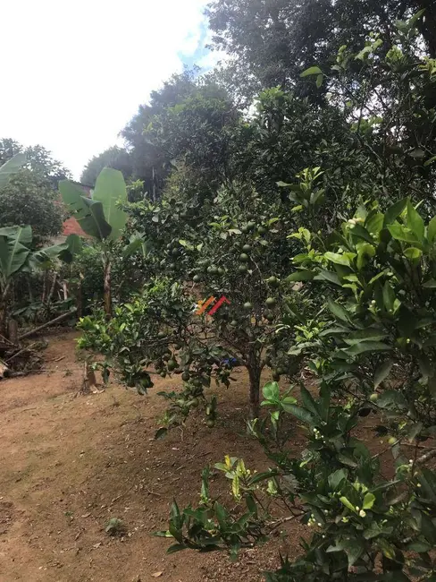 Foto 6 de Chácara com 4 quartos à venda, 1000m2 em Ibiuna - SP