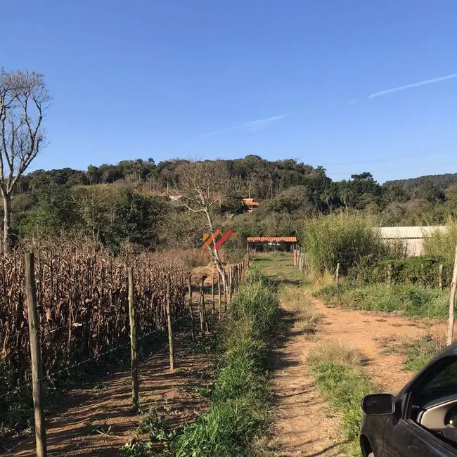 Chácara com 1 quarto à venda, 500m2 em Ibiuna - SP - imagem 3 Foto 3 de Chácara com 1 quarto à venda, 500m2 em Ibiuna - SP