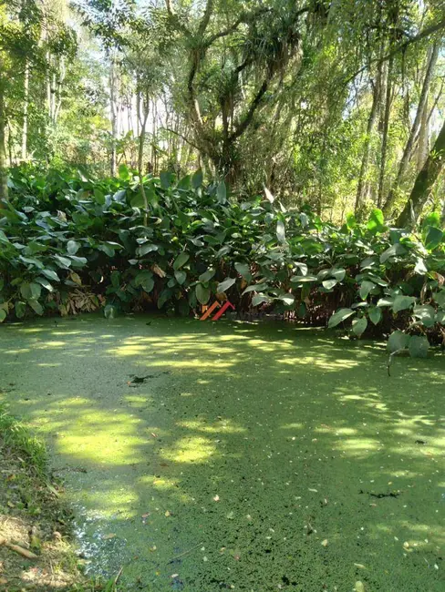 Foto 9 de Chácara com 2 quartos à venda, 8800m2 em Ibiuna - SP
