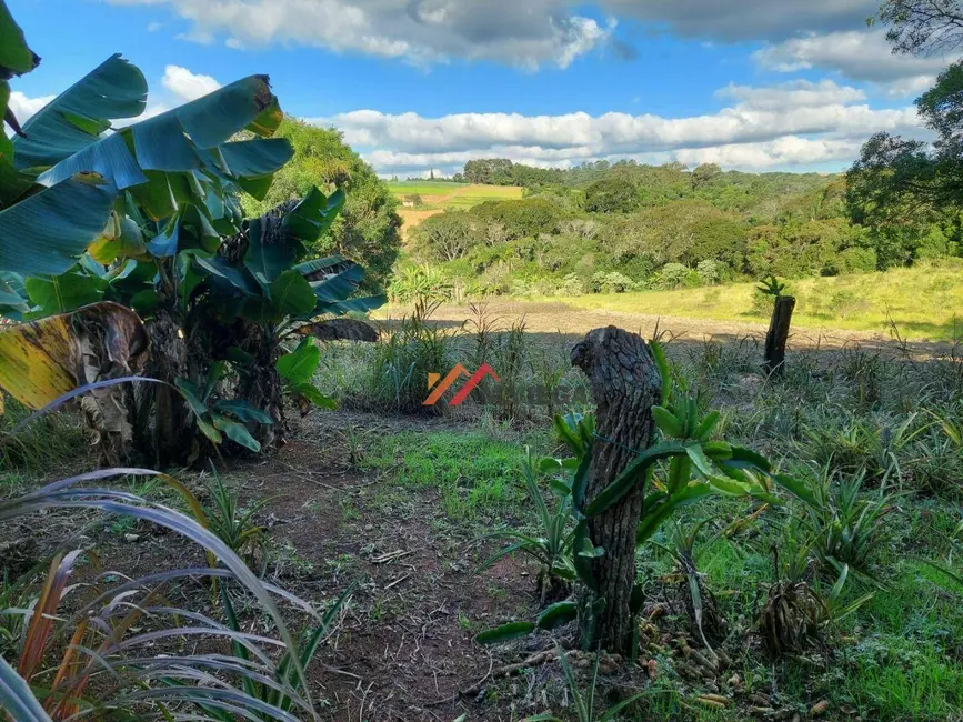 Chácara com 2 quartos à venda, 8820m2 em Ibiuna - SP - imagem 5 Foto 5 de Chácara com 2 quartos à venda, 8820m2 em Ibiuna - SP