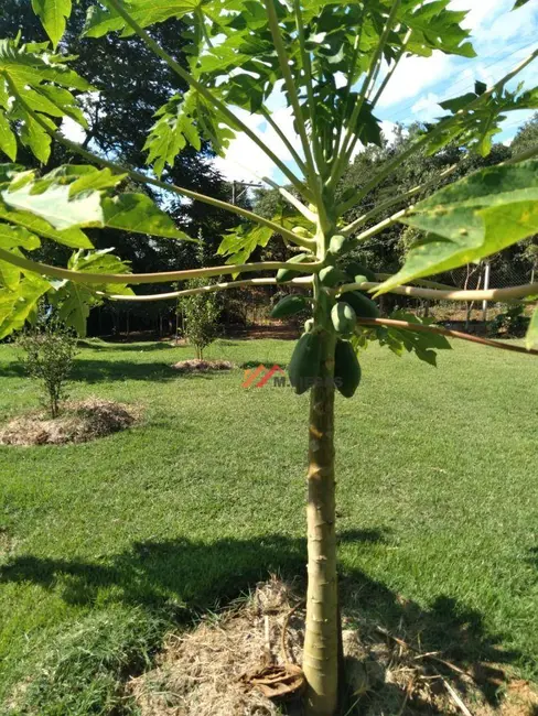 Foto 9 de Chácara com 1 quarto à venda, 1370m2 em Ibiuna - SP
