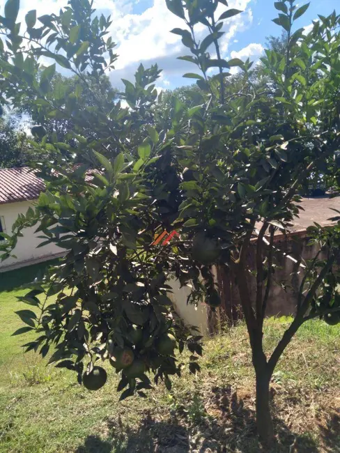 Foto 4 de Chácara com 1 quarto à venda, 1370m2 em Ibiuna - SP