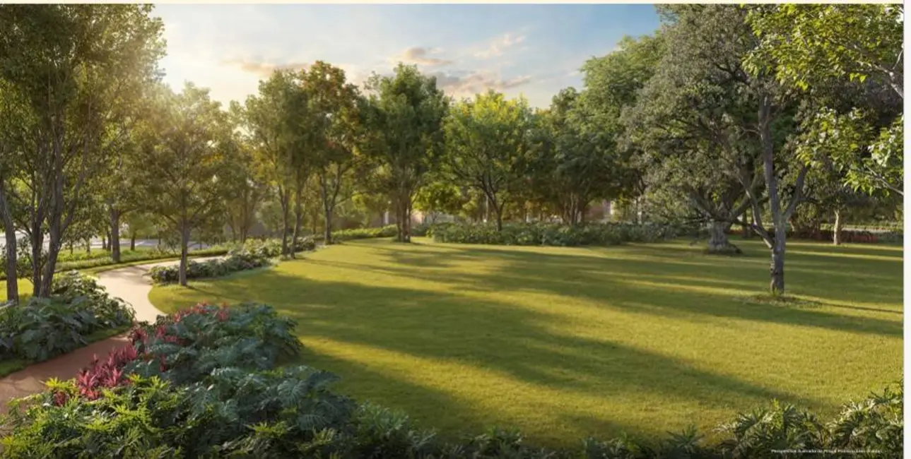 Foto 8 de Apartamento com 4 quartos à venda, 84m2 em Vila Cruzeiro, São Paulo - SP