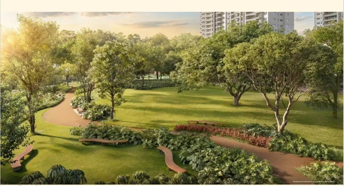 Foto 7 de Apartamento com 4 quartos à venda, 84m2 em Vila Cruzeiro, São Paulo - SP