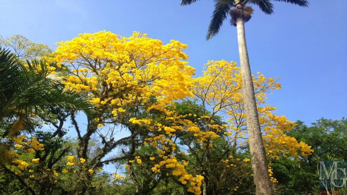 Casa com 4 quartos à venda, 339m2 em Itanhangá, Rio De Janeiro - RJ - imagem 1 Foto 1 de Casa com 4 quartos à venda, 339m2 em Itanhangá, Rio De Janeiro - RJ