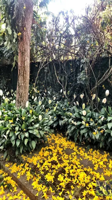 Casa com 4 quartos à venda, 339m2 em Itanhangá, Rio De Janeiro - RJ - imagem 7 Foto 7 de Casa com 4 quartos à venda, 339m2 em Itanhangá, Rio De Janeiro - RJ