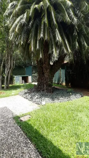 Casa com 4 quartos à venda, 339m2 em Itanhangá, Rio De Janeiro - RJ - imagem 8 Foto 8 de Casa com 4 quartos à venda, 339m2 em Itanhangá, Rio De Janeiro - RJ