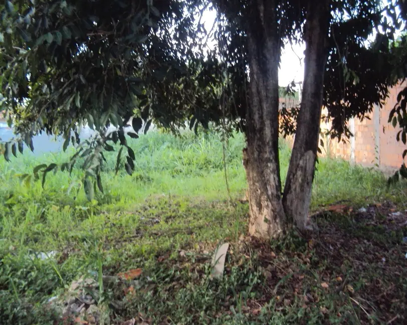 Foto 9 de Terreno / Lote à venda, 366m2 em Rio De Janeiro - RJ