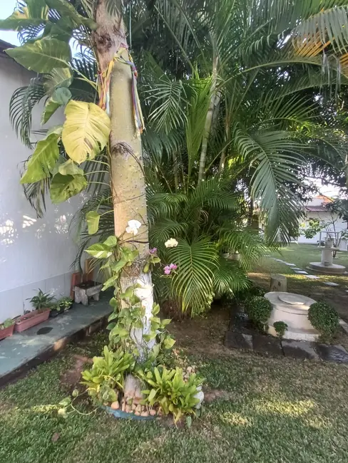 Foto 6 de Sala Comercial com 12 quartos à venda em Rio De Janeiro - RJ