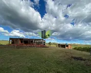 Imagem 16