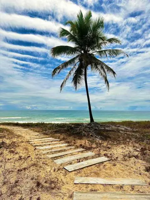Terreno / Lote à venda em Mata De Sao Joao - BA - imagem 4 Foto 4 de Terreno / Lote à venda em Mata De Sao Joao - BA