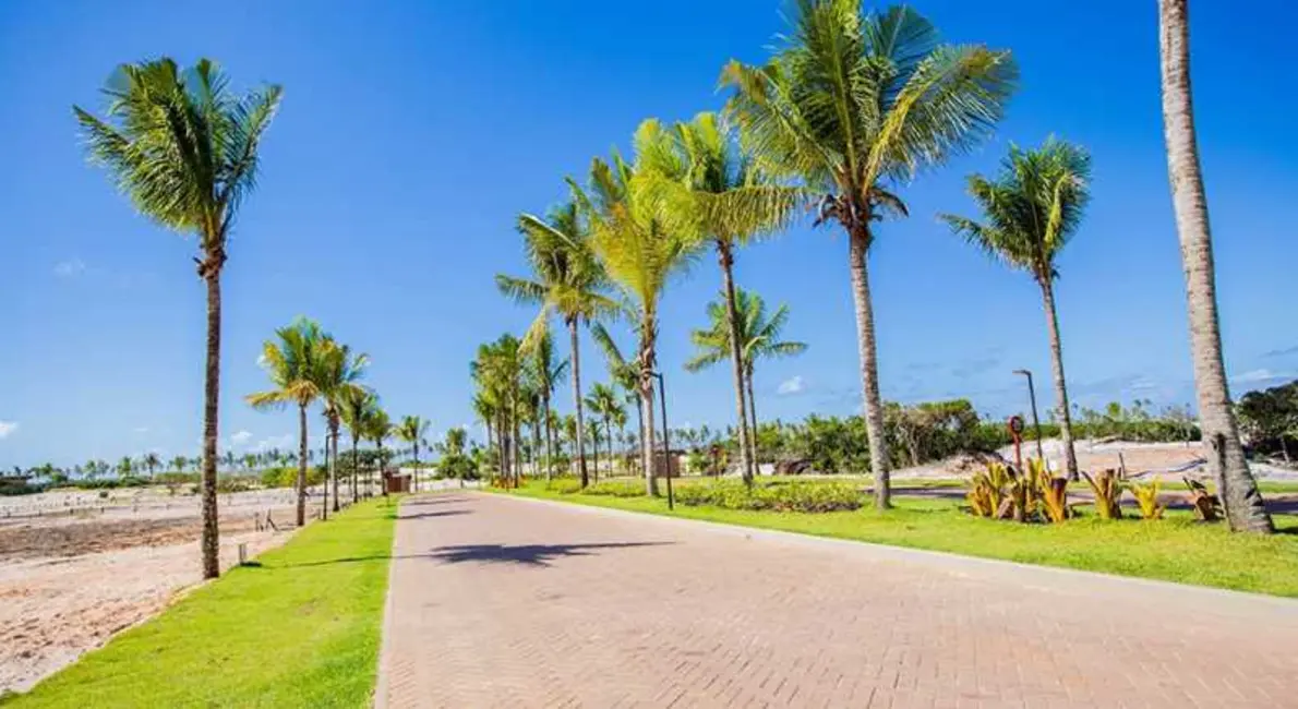 Terreno / Lote à venda, 454m2 em Mata De Sao Joao - BA - imagem 3 Foto 3 de Terreno / Lote à venda, 454m2 em Mata De Sao Joao - BA