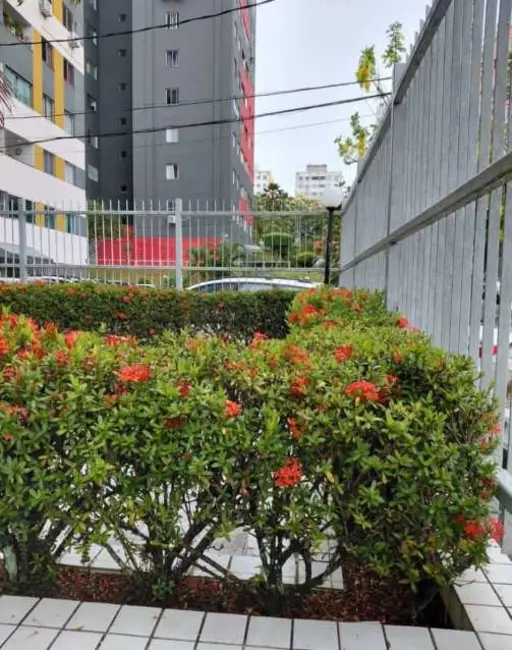 Foto 5 de Apartamento com 3 quartos à venda, 77m2 em Salvador - BA