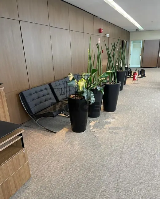 Foto 2 de Loja para alugar, 545m2 em São Paulo - SP