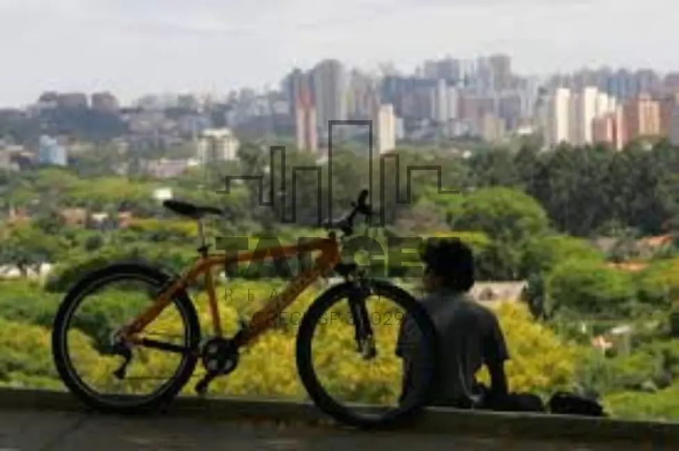 Loja à venda e para alugar, 226m2 em Pinheiros, São Paulo - SP - imagem 9 Foto 9 de Loja à venda e para alugar, 226m2 em Pinheiros, São Paulo - SP