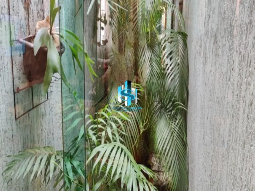 Casa com 3 quartos à venda, 145m2 em Vila Formosa, São Paulo - SP - imagem 9 Foto 9 de Casa com 3 quartos à venda, 145m2 em Vila Formosa, São Paulo - SP