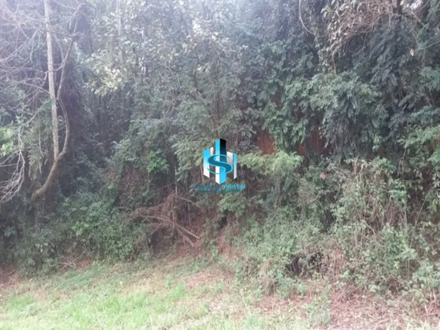 Foto 5 de Terreno / Lote à venda, 6000m2 em Tremembé, São Paulo - SP