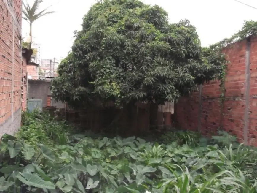 Foto 6 de Terreno / Lote à venda, 116m2 em Sacomã, São Paulo - SP