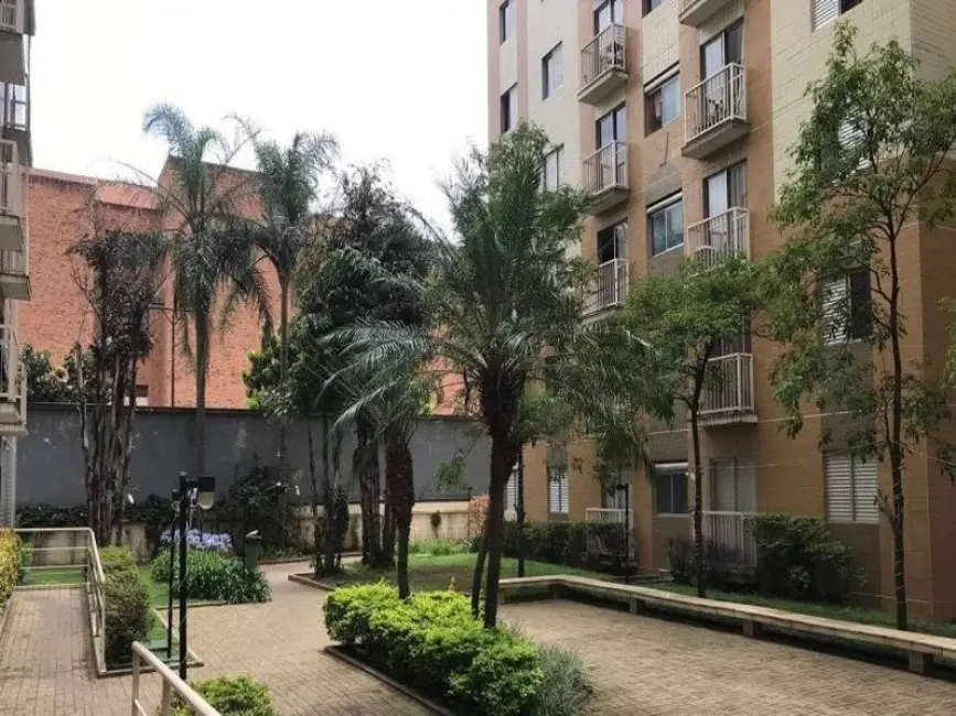 Foto 9 de Apartamento com 2 quartos à venda, 50m2 em Cambuci, São Paulo - SP