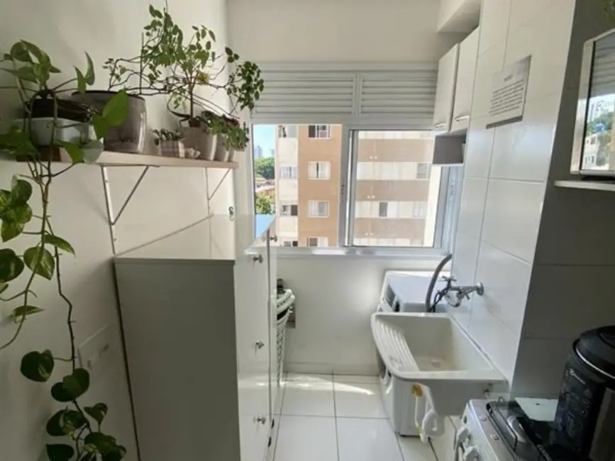 Apartamento com 1 quarto à venda, 31m2 em Água Branca, São Paulo - SP - imagem 8 Foto 8 de Apartamento com 1 quarto à venda, 31m2 em Água Branca, São Paulo - SP