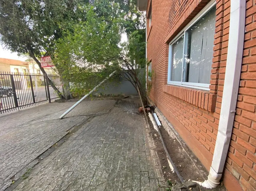 Foto 2 de Sala Comercial para alugar, 480m2 em Ibirapuera, São Paulo - SP