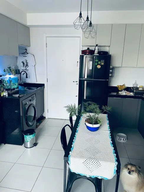 Foto 3 de Apartamento com 1 quarto à venda, 32m2 em Cambuci, São Paulo - SP