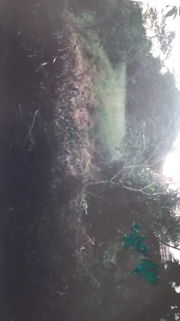 Foto 8 de Terreno / Lote à venda, 1445m2 em Vila Tramontano, São Paulo - SP