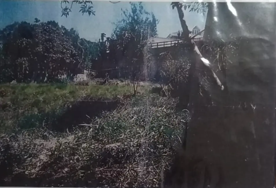 Foto 5 de Terreno / Lote à venda, 1445m2 em Vila Tramontano, São Paulo - SP