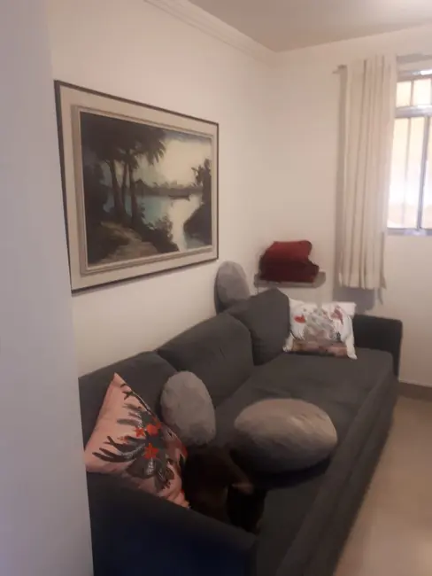 Casa com 4 quartos à venda, 300m2 em São Mateus, São Paulo - SP - imagem 5 Foto 5 de Casa com 4 quartos à venda, 300m2 em São Mateus, São Paulo - SP