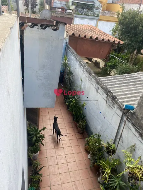 Casa com 6 quartos à venda, 259m2 em Ermelino Matarazzo, São Paulo - SP - imagem 9 Foto 9 de Casa com 6 quartos à venda, 259m2 em Ermelino Matarazzo, São Paulo - SP