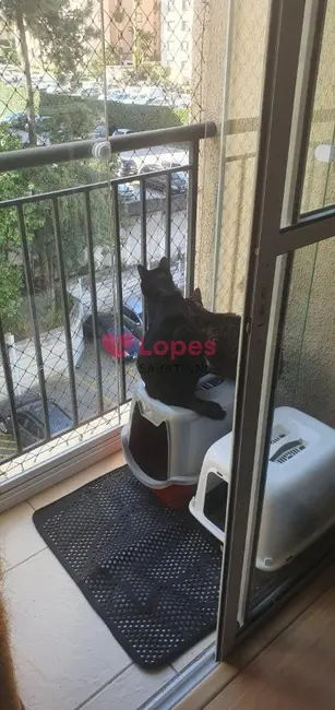 Foto 8 de Apartamento com 2 quartos à venda, 47m2 em Vila Mendes, São Paulo - SP