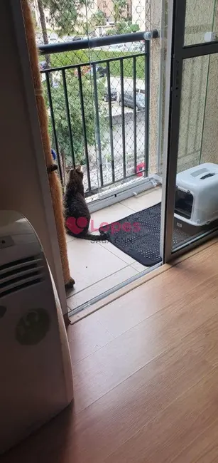 Foto 6 de Apartamento com 2 quartos à venda, 47m2 em Vila Mendes, São Paulo - SP