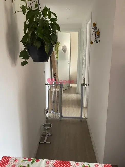 Foto 6 de Apartamento com 2 quartos à venda, 40m2 em Cambuci, São Paulo - SP