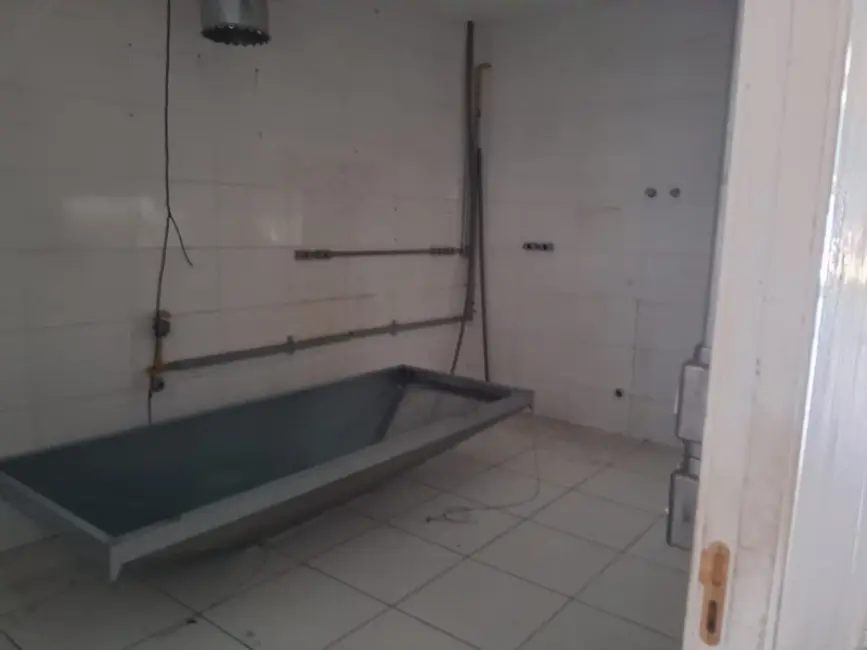 Loja à venda e para alugar, 160m2 em Bela Vista, São Paulo - SP - imagem 8 Foto 8 de Loja à venda e para alugar, 160m2 em Bela Vista, São Paulo - SP