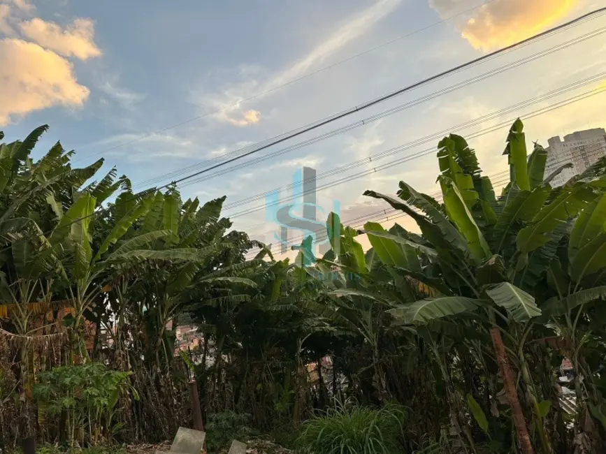 Terreno / Lote à venda, 1115m2 em Parque Reboucas, São Paulo - SP - imagem 9 Foto 9 de Terreno / Lote à venda, 1115m2 em Parque Reboucas, São Paulo - SP
