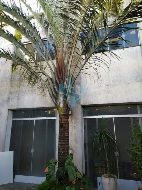 Foto 8 de Prédio Inteiro à venda, 500m2 em Santana, São Paulo - SP